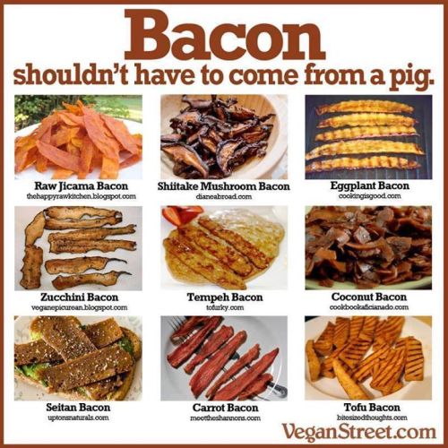 no-pig-bacon